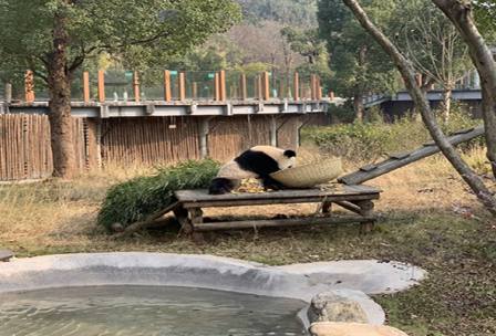 長沙生態動物園